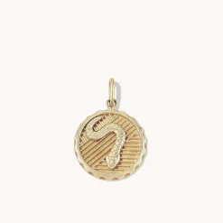 Necklaces<Mejuri Transformation: Serpent Coin Charm Pendant